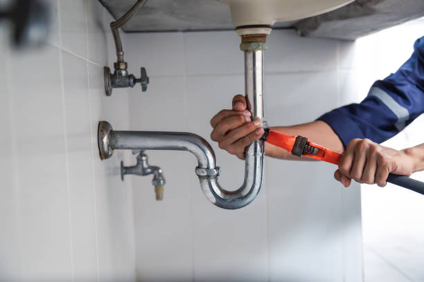 Best Plumbing Inspection Services  in South Alamo, TX